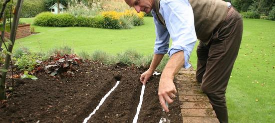 What are Seed Tapes and How Do I Use Them? What are Seed Tapes and How Do I Use Them?