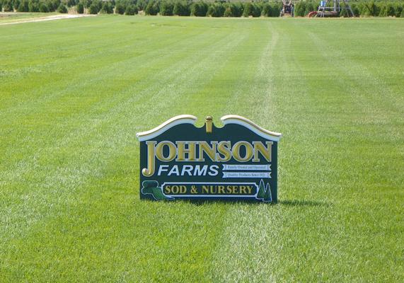 Premium Tall Fescue & Blue Grass