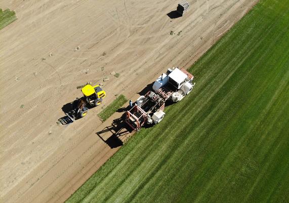 Sod Harvesting - 1