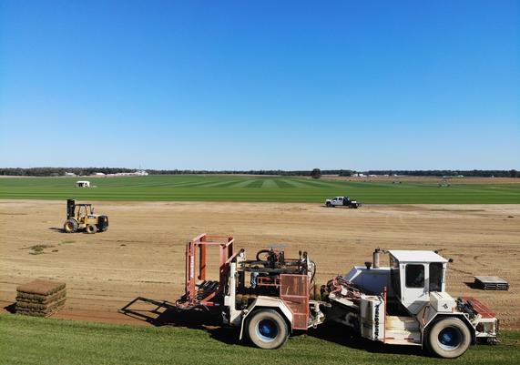 Sod Harvesting - 2