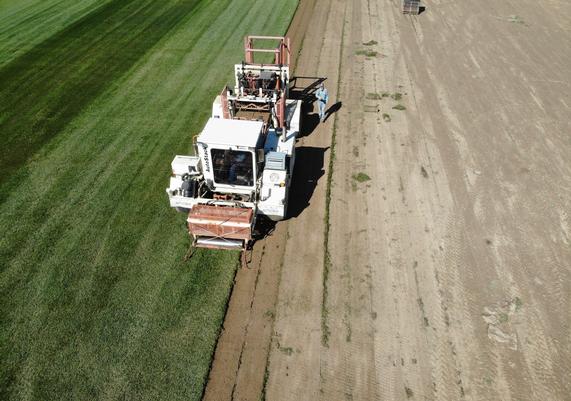 Sod Harvesting - 3